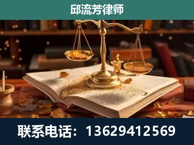 新平-刑事案件