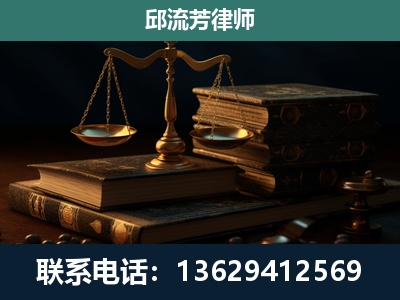 新平-刑事案件